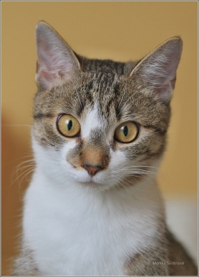 <p>Mia</p>